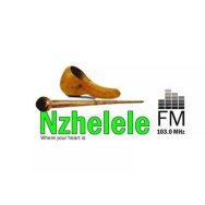 Nzhelele FM 103.0 Ilogo