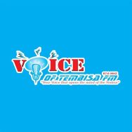 Voice of Thembisa Logo